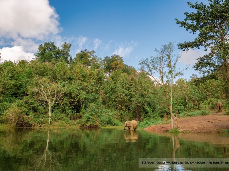 2 days / 1 night at the Elephant Conservation Center