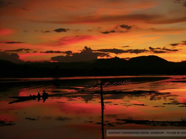 2 days / 1 night at the Elephant Conservation Center