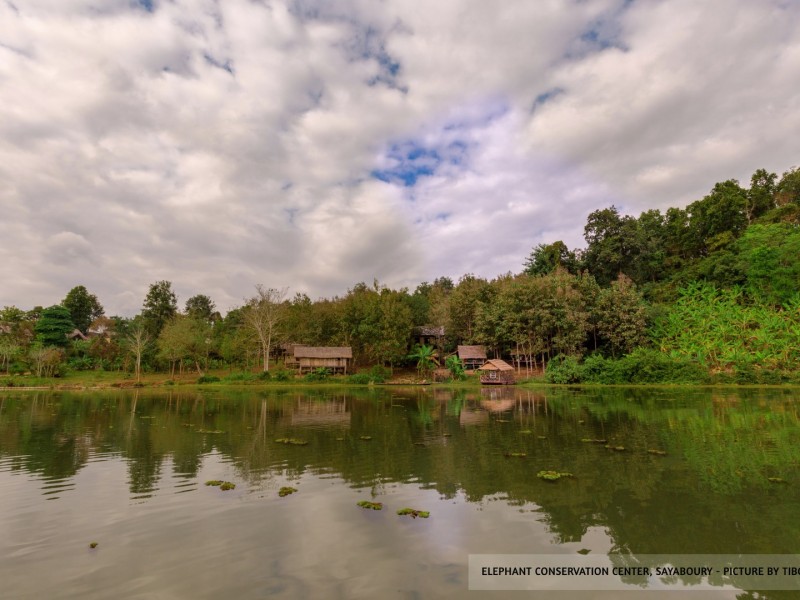 2 days / 1 night at the Elephant Conservation Center