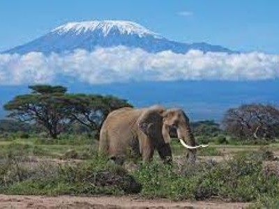 3 Day Amboseli Safari