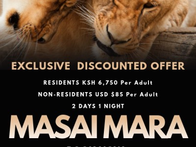 Limited Offer 2 Days 1 Night Masai Mara Safari