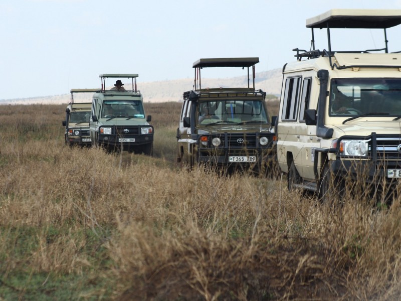 4 Days Tanzania Private Safari