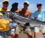 4hrs. Offshore Private Fishing Charters