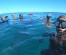 Reef Spearfishing in Punta Cana