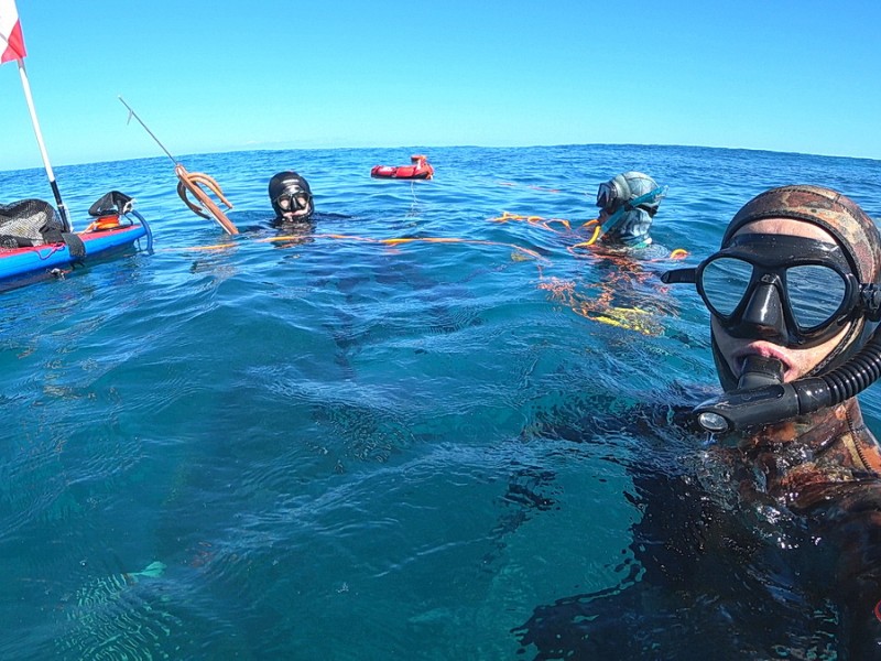 Reef Spearfishing in Punta Cana