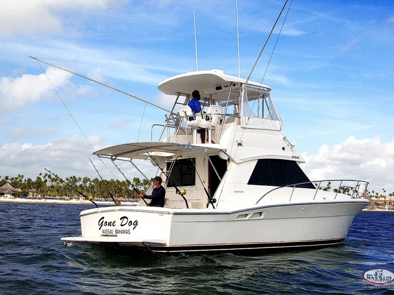 4hrs. Offshore Private Fishing Charters