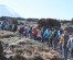 8 Days Kilimanjaro Climbing Tour Via Lemosho Route