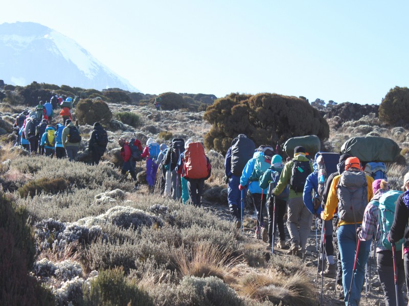 8 Days Kilimanjaro Climbing Tour Via Lemosho Route