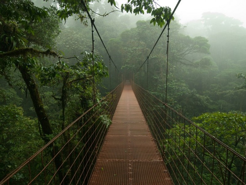 Monteverde Nature Reserve