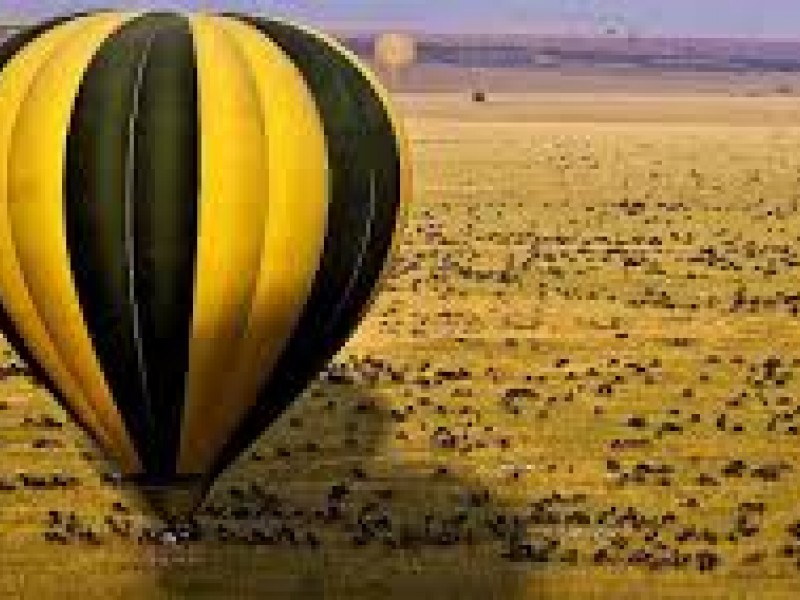 7 Days Kenya Family Safari Holiday Package