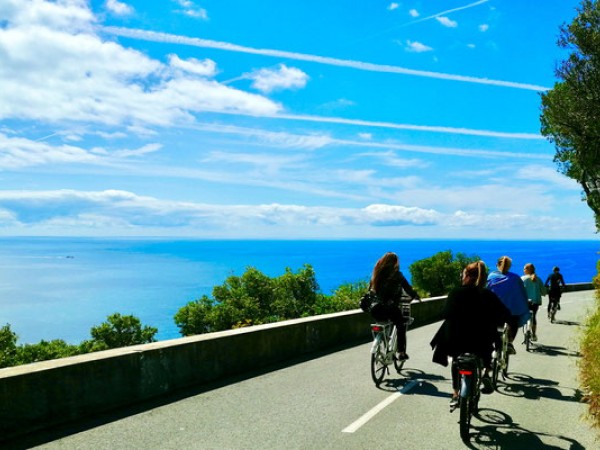 TOUR VÉLO N°4 : LA BAIE FANTASTIQUE & LE CAP DES MILLIARDAIRES