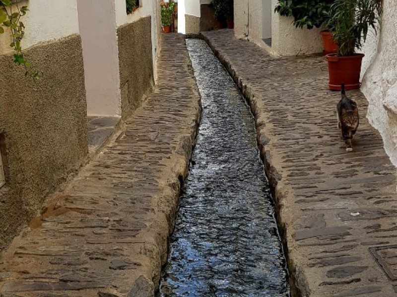 Amazing Alpujarras and Sierra Nevada