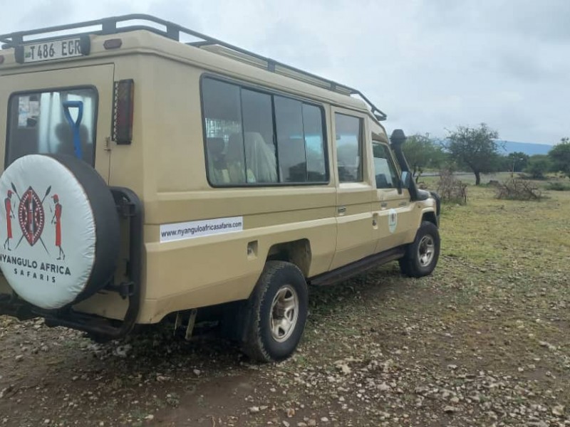 Tarangire National park day trip