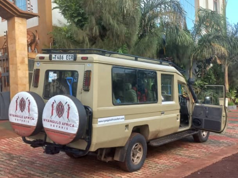 Ngorongoro Crater day trip