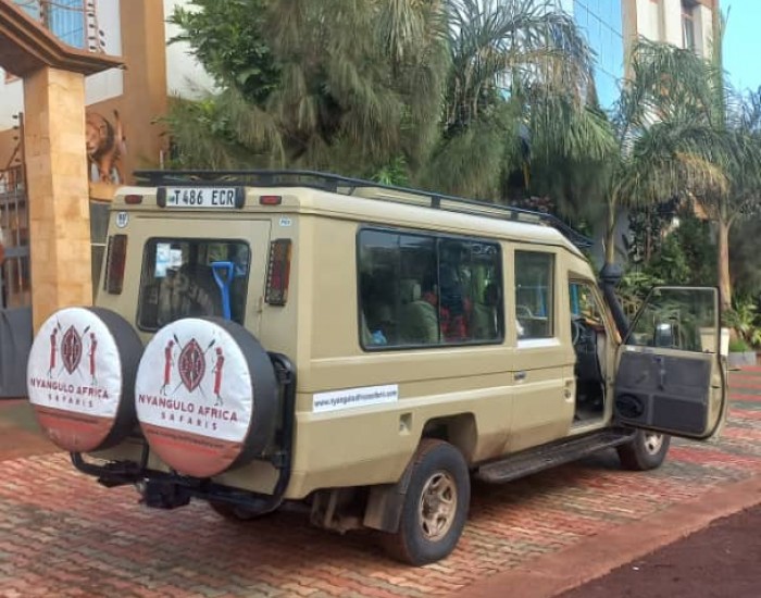 Ngorongoro Crater day trip