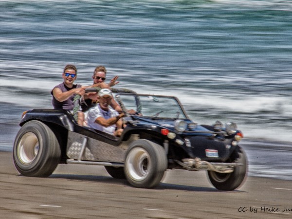 Beach Buggy Fynbos Safari