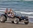 Beach Buggy Fynbos Safari