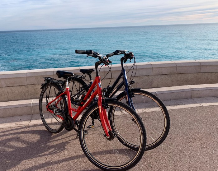 CITY BIKE RENTAL - DAY