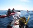 Morning sea kayaking adventure  to Pakleni islands, Hvar