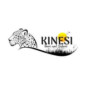 Kinesi Tours & Safari