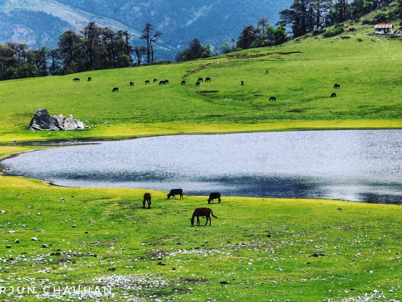 Trekking in Himalaya