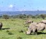 7 Days Kenya Budget Camping Safari Tours