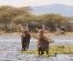 5 Days Kenya Budget Camping Safari Package