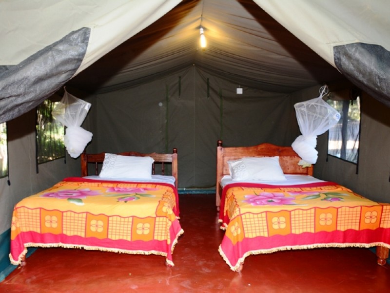 3-Day Special Offer Masai Mara Safari