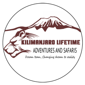 Kilimanjaro Lifetime Adventures