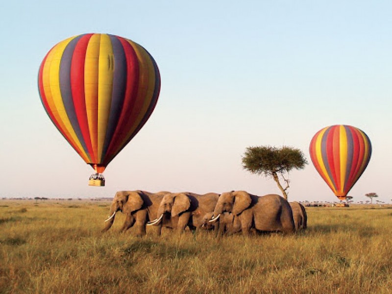 3 Days Masai Mara Budget Camping Safari Packages