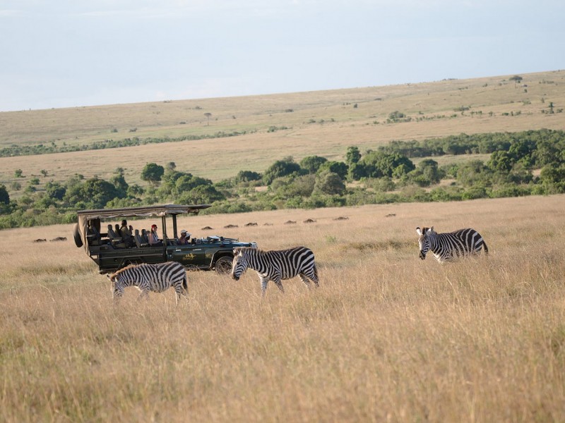3 Days Masai Mara Budget Camping Safari Packages