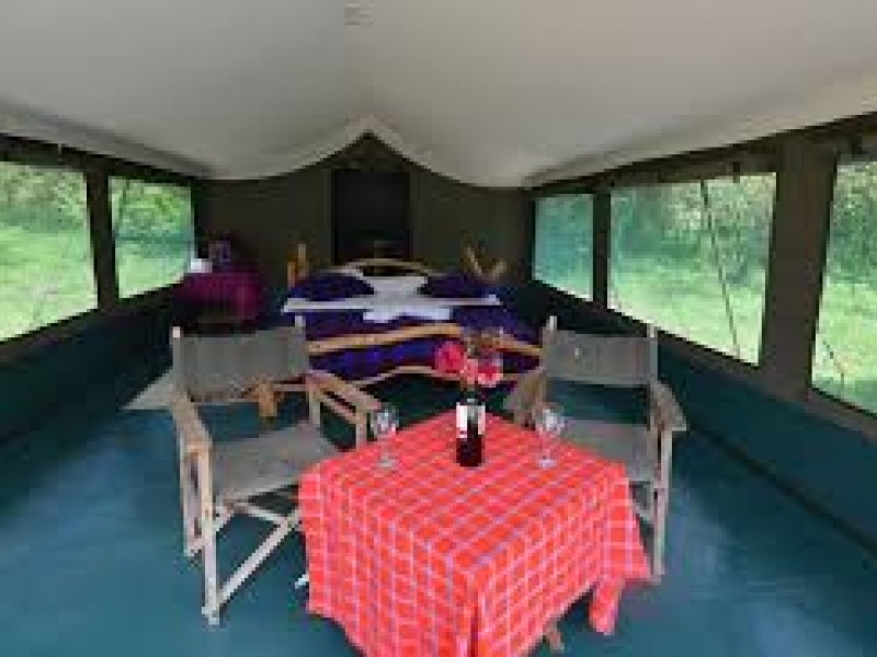 4 Days Masai Mara Budget Camping Safari Tours