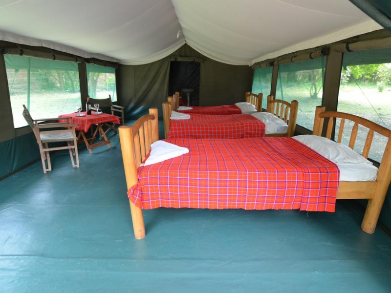 6 Days Masai Mara Lake Nakuru Budget Camping Safari