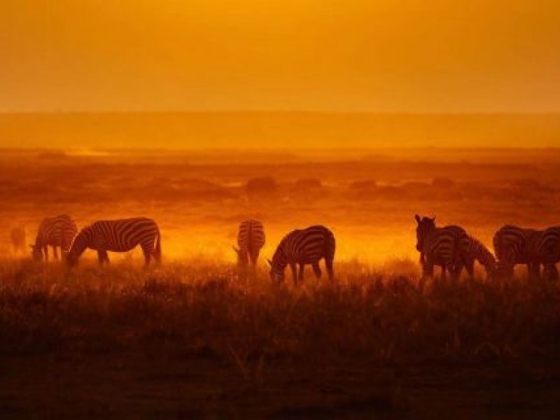 3 Days Masai Mara Wildebeest Migration Safari Tours