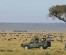 6 Days Masai Mara Lake Nakuru Budget Camping Safari