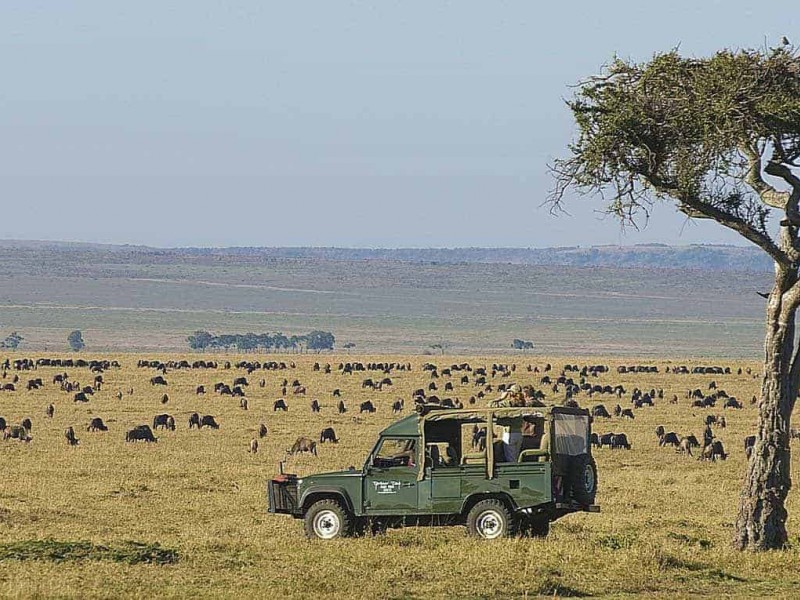 6 Days Masai Mara Lake Nakuru Budget Camping Safari