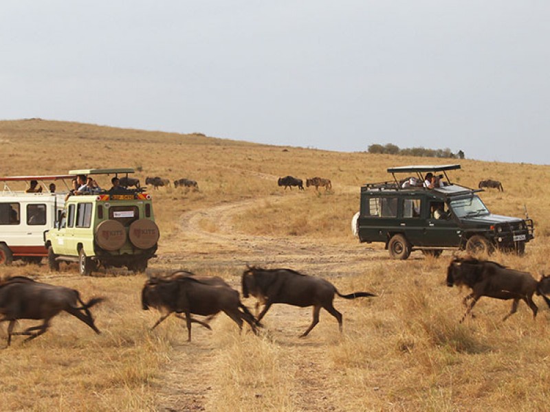 7 Days Kenya Family Safari Holiday Package