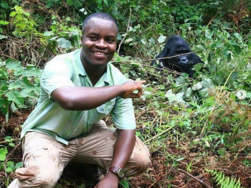 4 Days Ultimate Uganda Gorilla Trekking Experiences