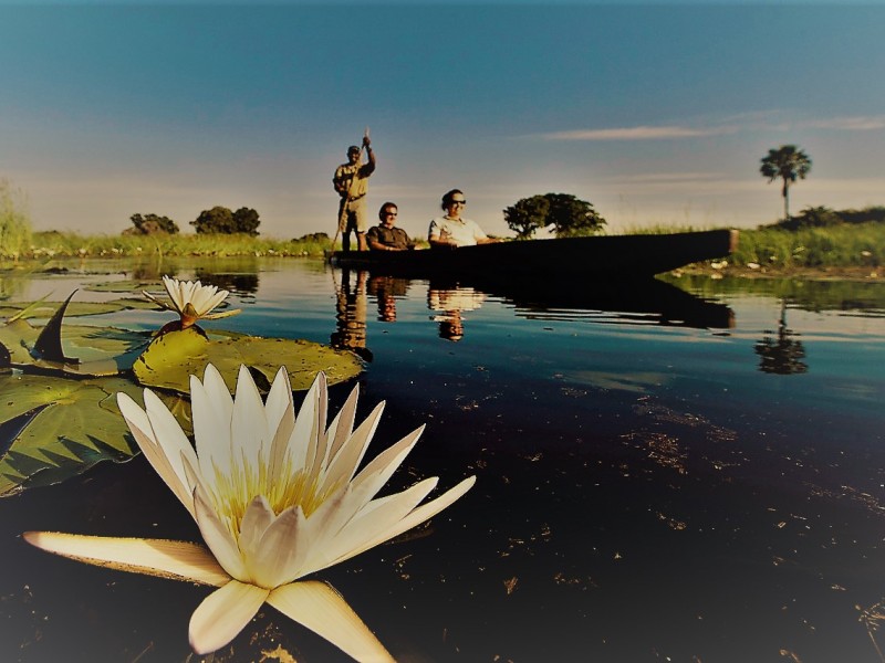 Relax On A Mokoro Ride In The Okavango Delta