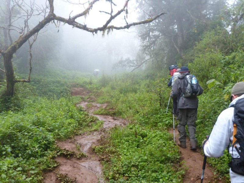 Summit Kilimanjaro On Christmas