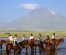 Horse riding in Arusha