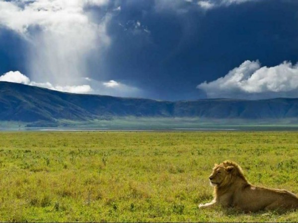 6 Day Tanzania Camping Safari