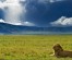 6 Day Tanzania Camping Safari