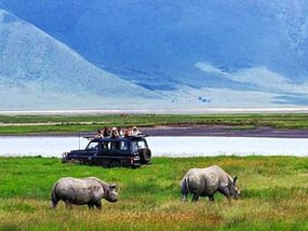 a Day Tour to Ngorongoro Crater National Park