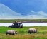 a Day Tour to Ngorongoro Crater National Park