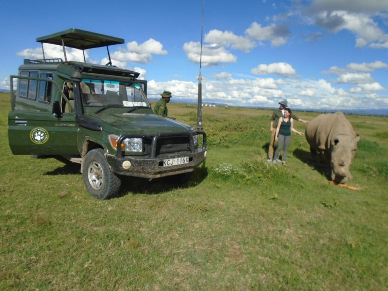 Ol Pejeta Wildlife Sanctuary Tour-2 Days, 1 Night