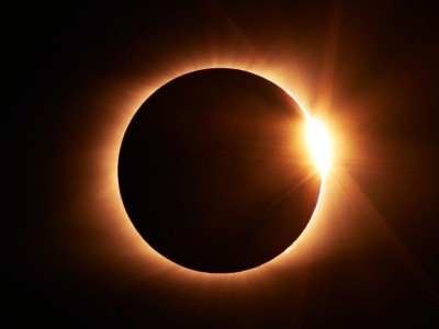 Solar Eclipse sorrounded by Nature