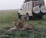 Tanzania Budget Safaris, full day in Arusha National Park