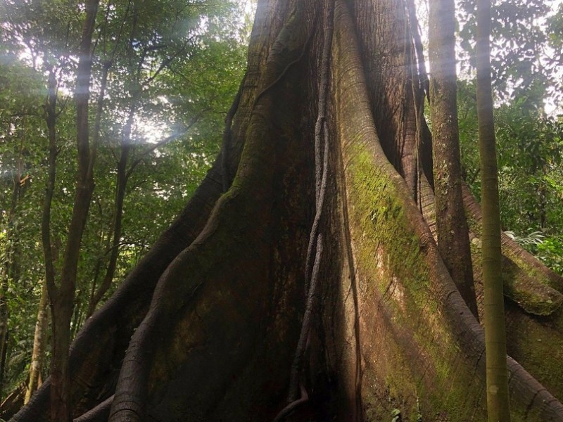 Arenal volcano national park