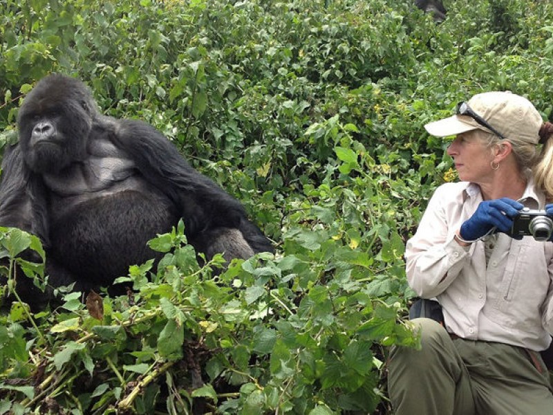 10 DAYS RWANDA EXPLORATION – WILDLIFE, GORILLAS, CHIMPS & GOLDEN MONKEYS